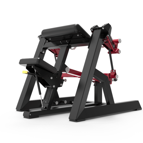 ECP501 - SEATED BICEP - Image 2