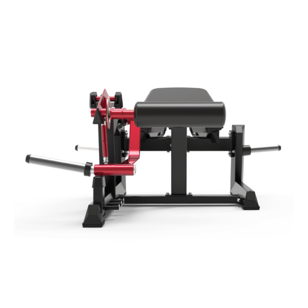 ECP604 - PRONE LEG CURL - Image 2