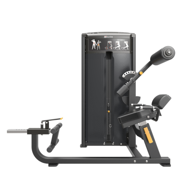 IF9334 – ABDOMINAL / BACK - Image 3