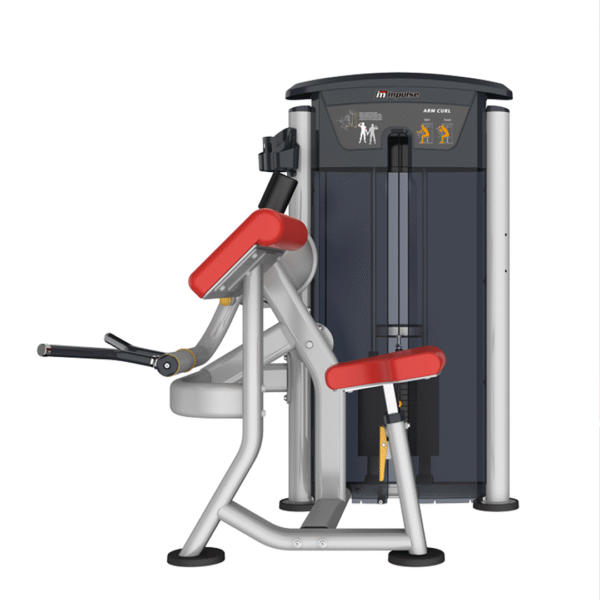 IT9503 - ARM CURL - Image 2