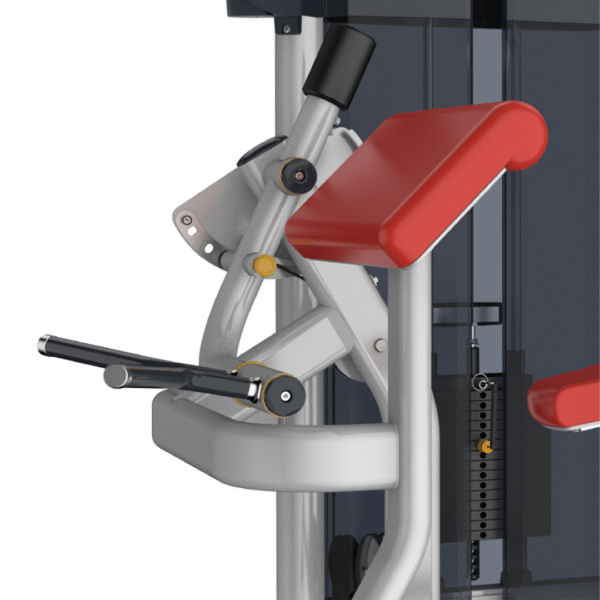 IT9503 - ARM CURL - Image 3