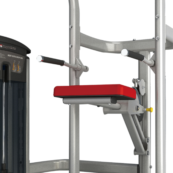 IT9520 - WEIGHT ASSISTED CHINDIP COMBO - Image 2