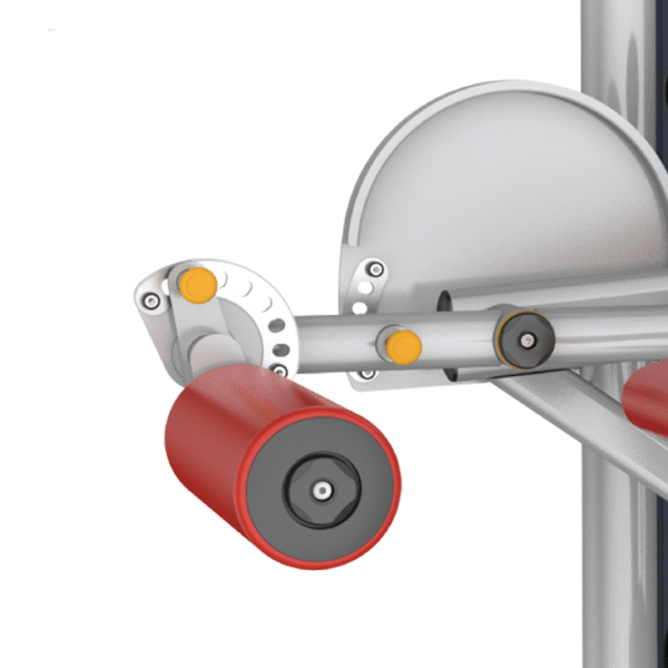 IT9521 - PRONELEG CURL - Image 3
