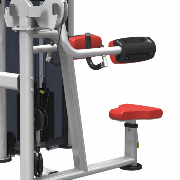 IT9524 - LATERAL RAISE - Image 4