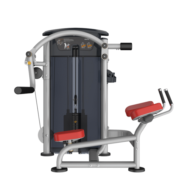 IT9526 - GLUTE - Image 2