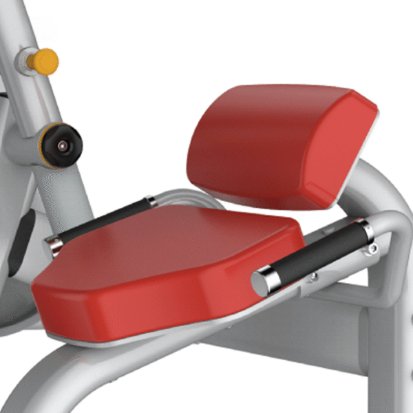 IT9532 - BACK EXTENSION - Image 2