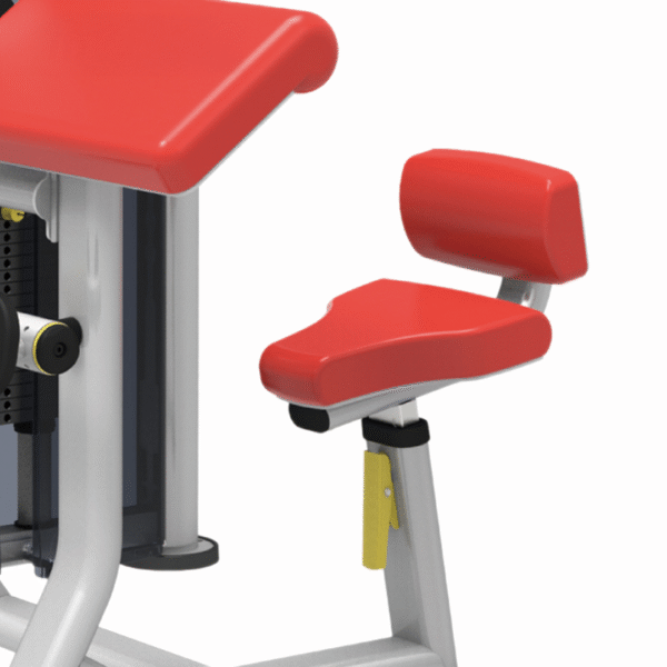 IT9533 - BICEP CURLTRICEP EXTENSION - Image 3