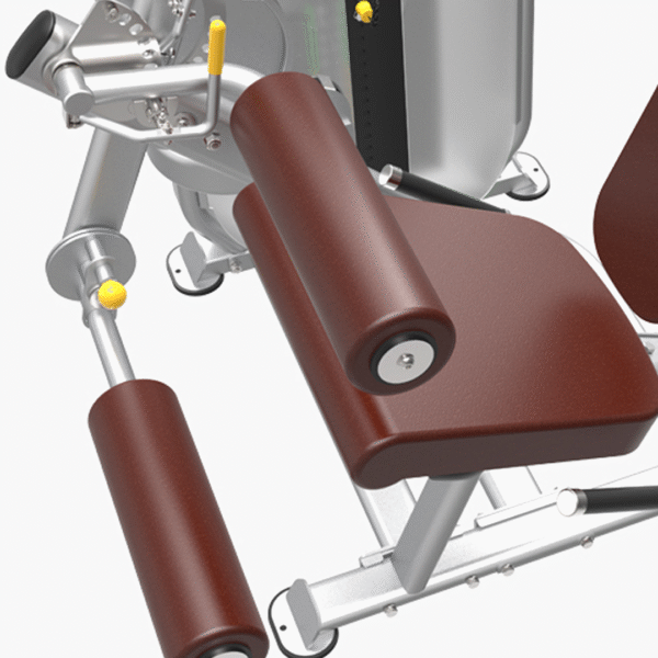 PL9023 - BICEPS / TRICEPS - Image 3