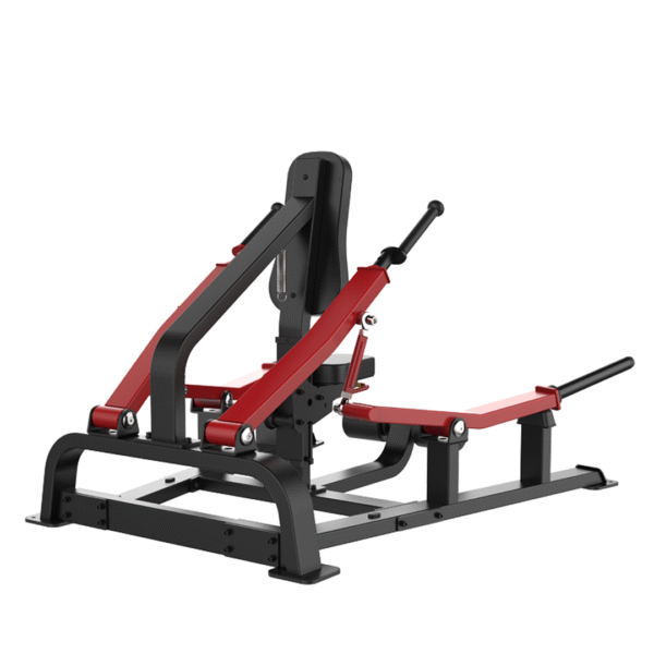 SL7024 - TRICEP DIP - Image 2