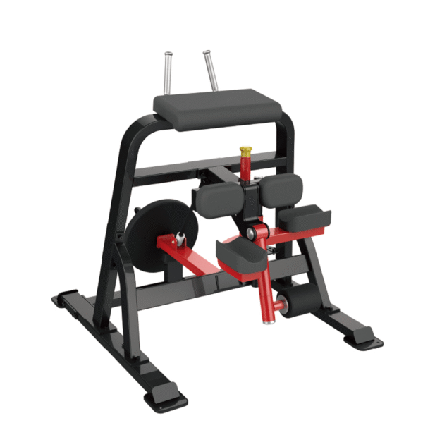 SL7026 - LEG CURL - Image 3