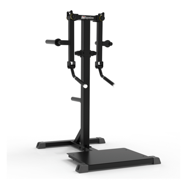 IFP1103 - STANDING LATERAL RAISE - Image 2