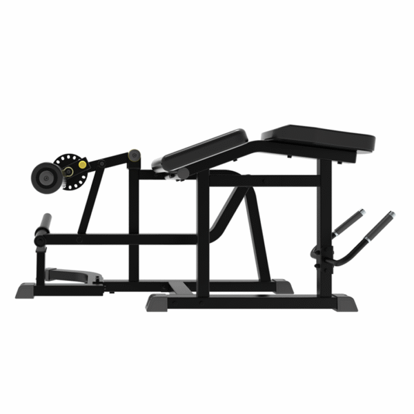 IFP1604 - PRONE LEG CURL - Image 2