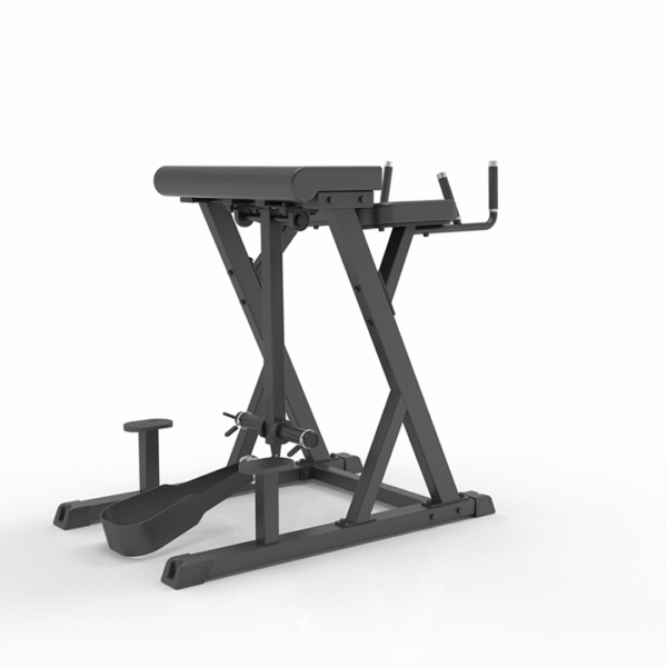 IFP1619 - REVERSE HYPEREXTENSION - Image 2