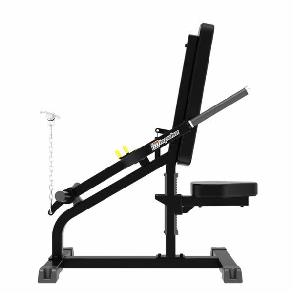 IFP1706 - BICEPS/TRICEPS - Image 2