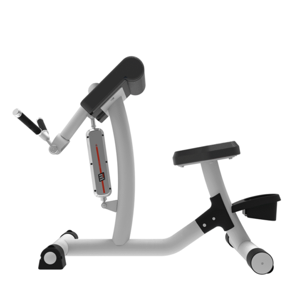 RL8103 - BICEPS CURL/TRCEPS EXTENSION - Image 2