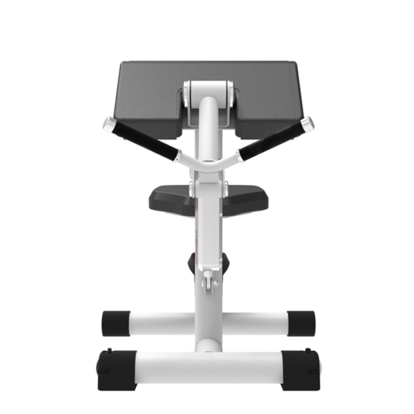RL8103 - BICEPS CURL/TRCEPS EXTENSION - Image 3