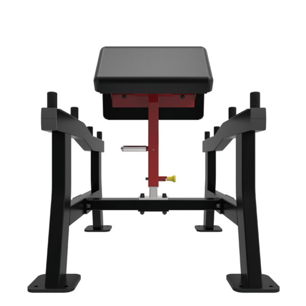 SL7018 - BICEPS CURL - Image 3
