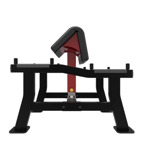 SL7018 - BICEPS CURL - Image 2